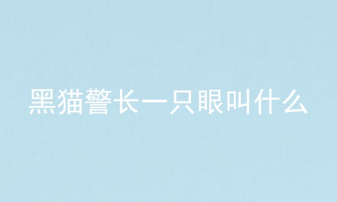 黑猫警长一只眼叫什么