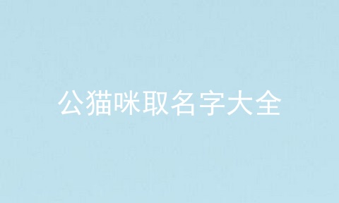 公猫咪取名字大全