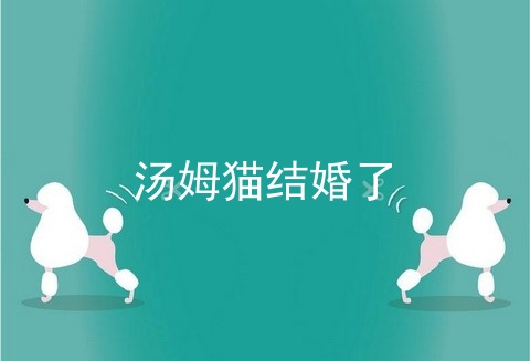 汤姆猫结婚了