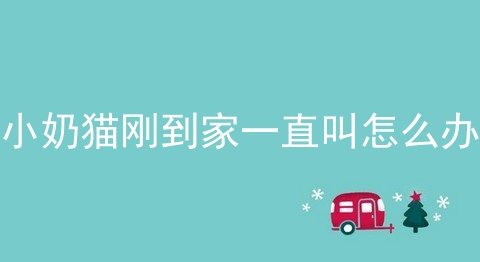 小奶猫刚到家一直叫怎么办
