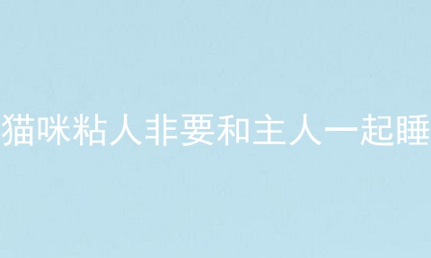 猫咪粘人非要和主人一起睡