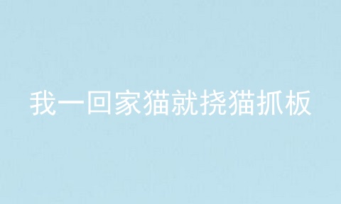 我一回家猫就挠猫抓板
