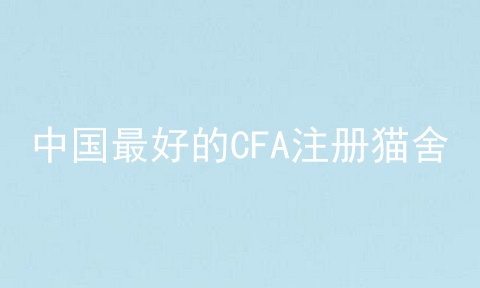中国最好的CFA注册猫舍