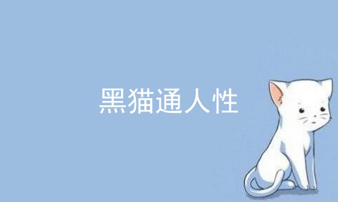 黑猫通人性