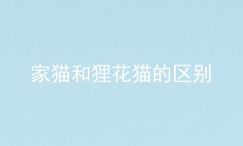 家猫和狸花猫的区别