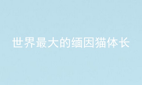 世界最大的缅因猫体长