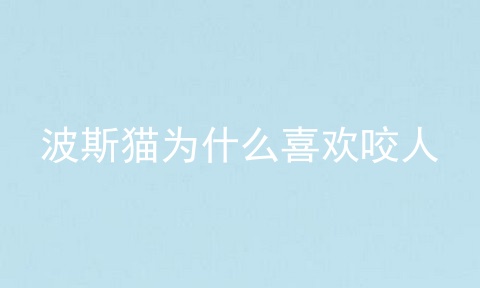 波斯猫为什么喜欢咬人