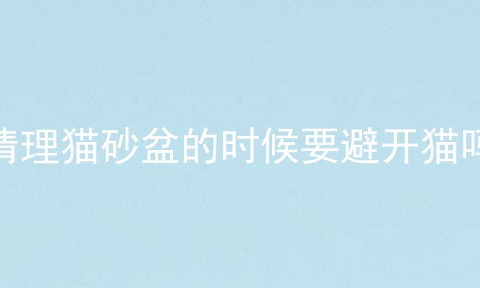 清理猫砂盆的时候要避开猫吗