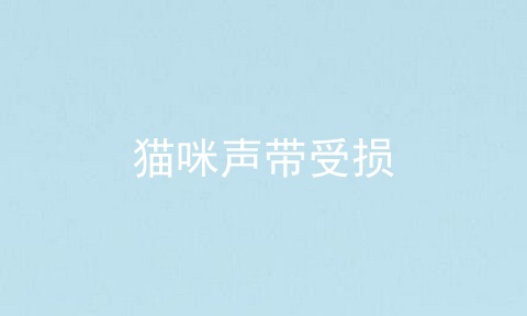 猫咪声带受损