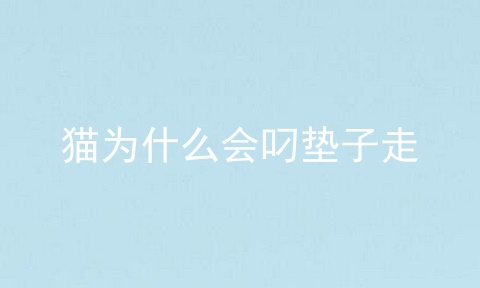 猫为什么会叼垫子走