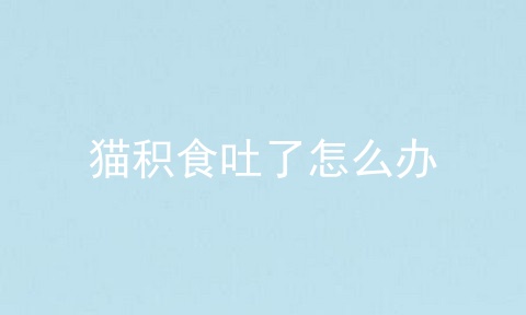 猫积食吐了怎么办