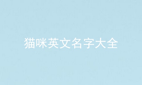 猫咪英文名字大全