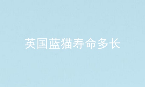 英国蓝猫寿命多长
