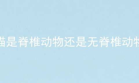 猫是脊椎动物还是无脊椎动物