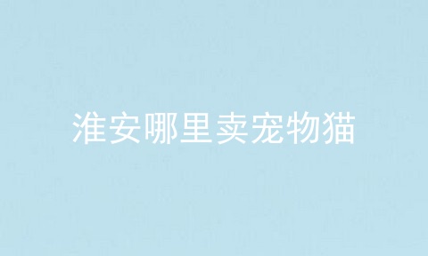 淮安哪里卖宠物猫