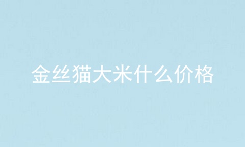 金丝猫大米什么价格