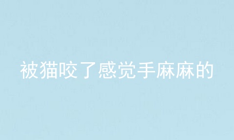 被猫咬了感觉手麻麻的