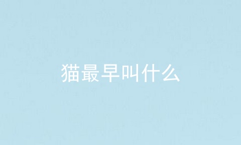 猫最早叫什么