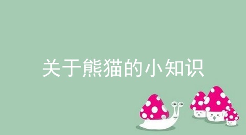 关于熊猫的小知识