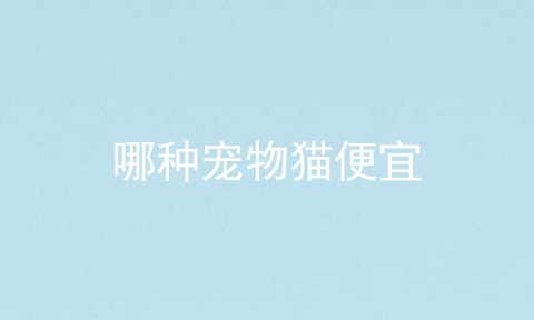 哪种宠物猫便宜