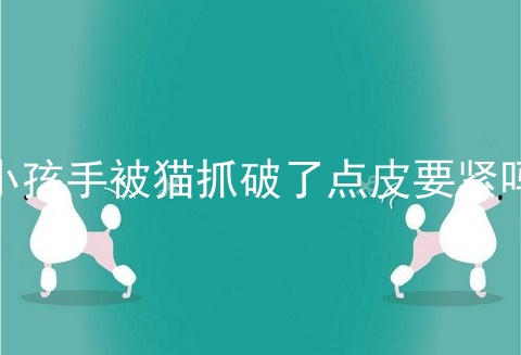 小孩手被猫抓破了点皮要紧吗