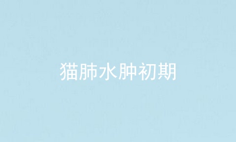 猫肺水肿初期
