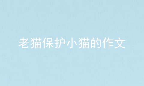 老猫保护小猫的作文