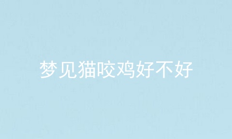 梦见猫咬鸡好不好
