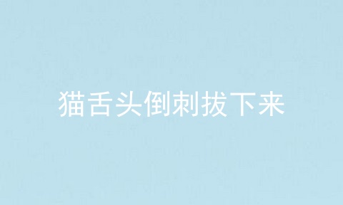 猫舌头倒刺拔下来