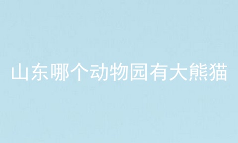 山东哪个动物园有大熊猫