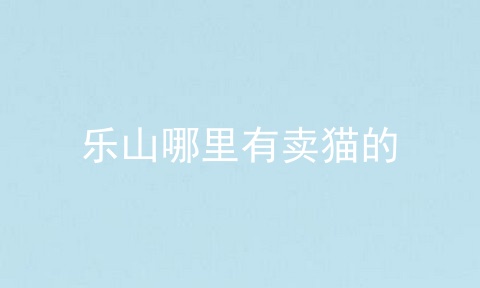 乐山哪里有卖猫的