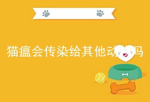 猫瘟会传染给其他动物吗