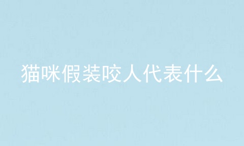 猫咪假装咬人代表什么