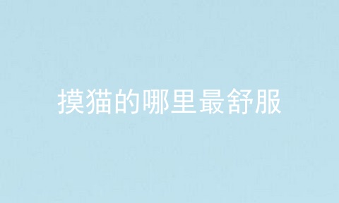 摸猫的哪里最舒服