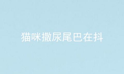 猫咪撒尿尾巴在抖