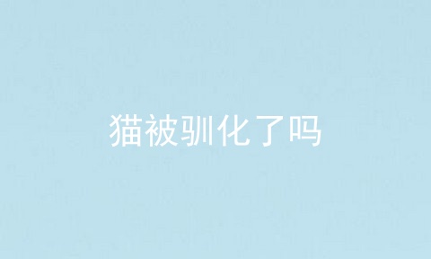猫被驯化了吗