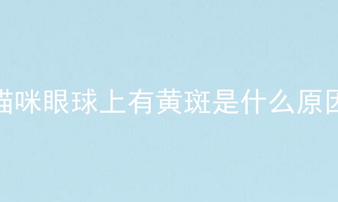 猫咪眼球上有黄斑是什么原因