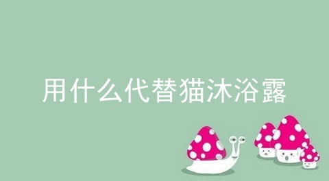 用什么代替猫沐浴露
