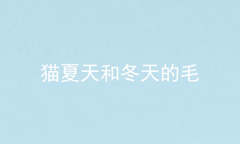 猫夏天和冬天的毛