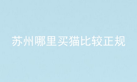 苏州哪里买猫比较正规