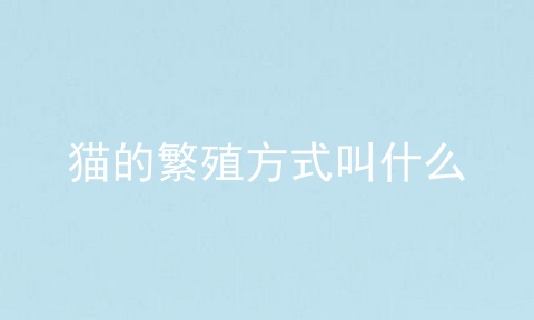 猫的繁殖方式叫什么