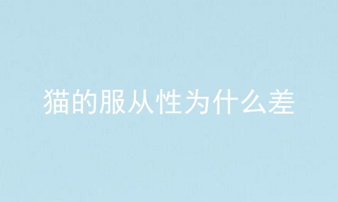 猫的服从性为什么差