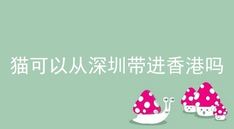 猫可以从深圳带进香港吗