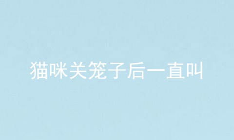 猫咪关笼子后一直叫