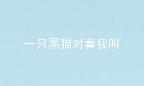 一只黑猫对着我叫
