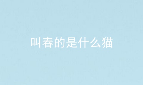 叫春的是什么猫