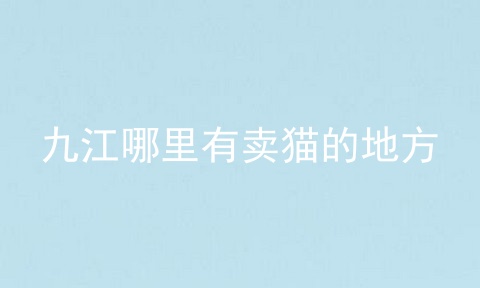 九江哪里有卖猫的地方