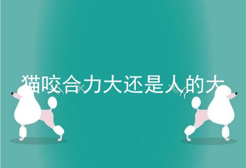 猫咬合力大还是人的大