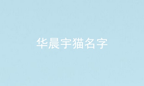 华晨宇猫名字