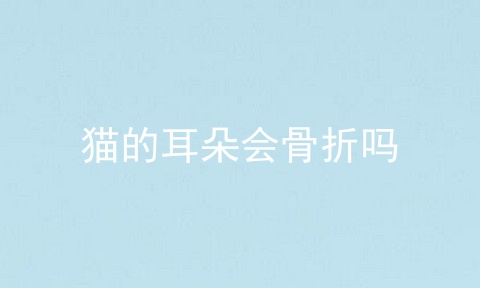 猫的耳朵会骨折吗